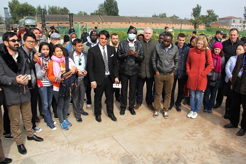 72名外國專家為何同時考察一個菊花基地？